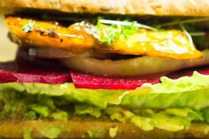 11111111111timthumb.php