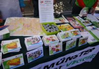 Ankündigung Hiltruper Frühlingsfest Samstag, den 21.05.2016 (und 22.05.2016)